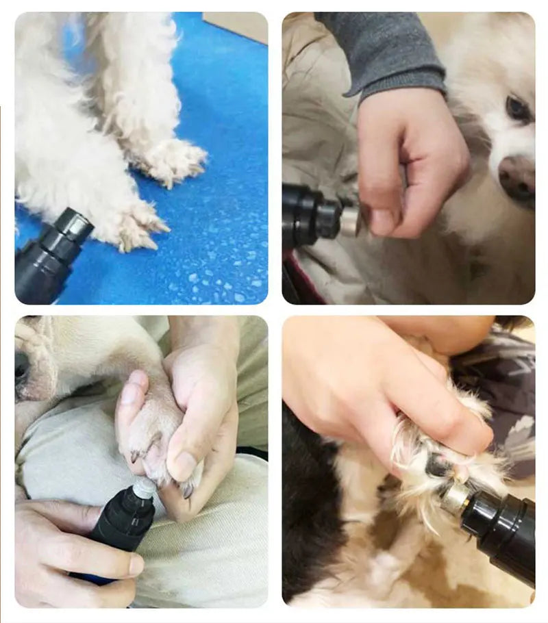 Painless USB Charging Dog Nail