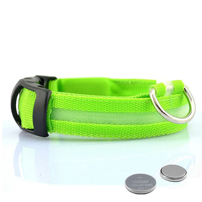 Dog Collar with LED Lighting