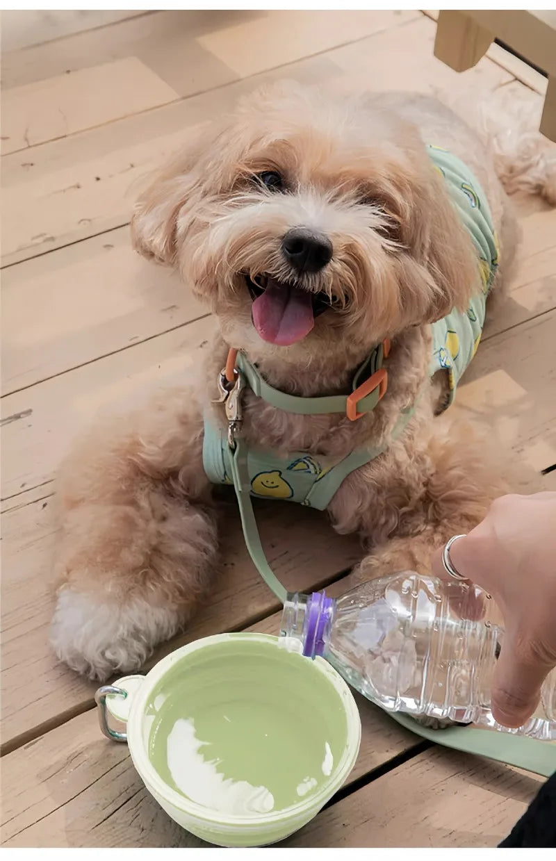 Pet Folding Silicone Bowl