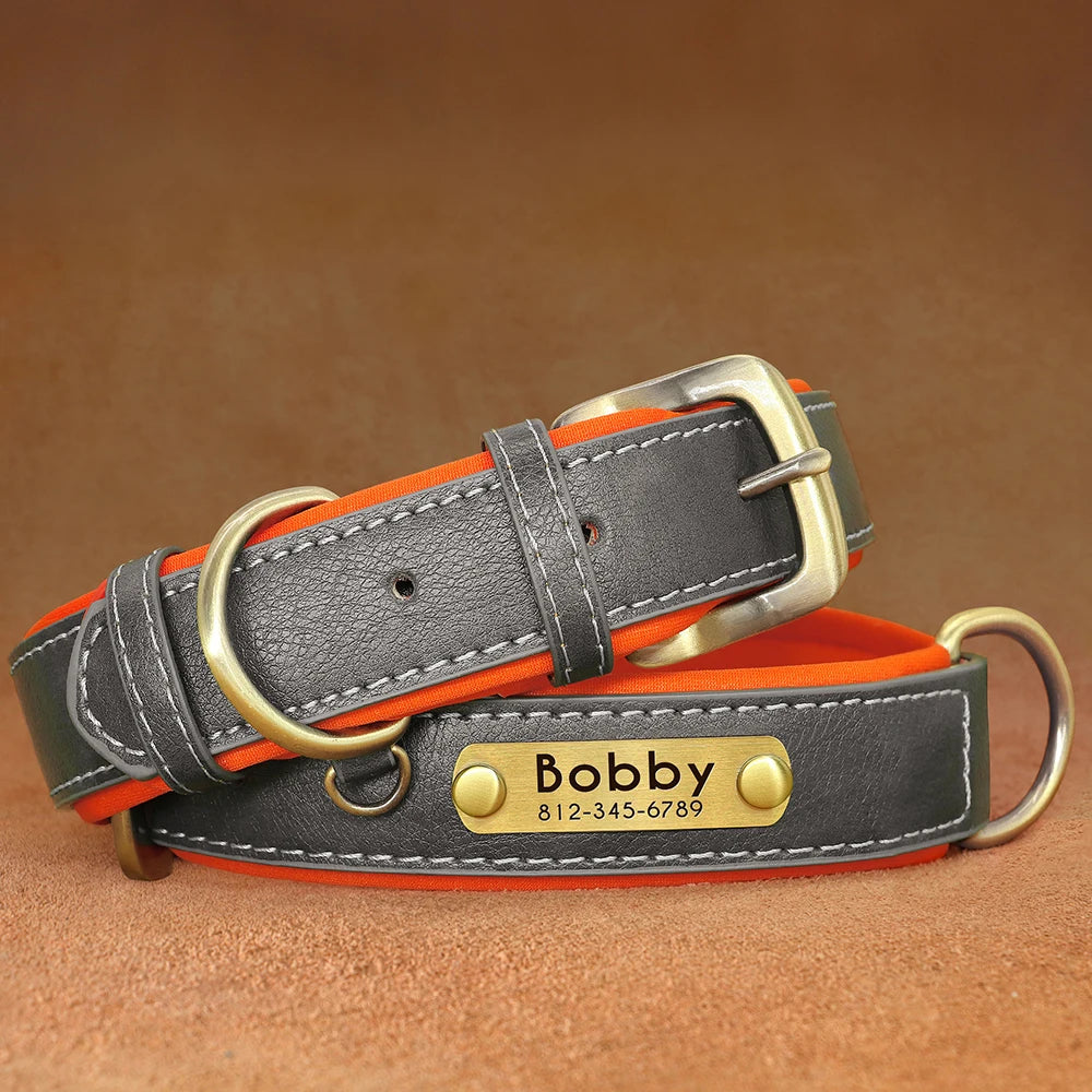 Dog Collar and Leash Set