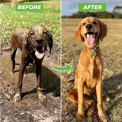 Dog Shower Hose Attachment