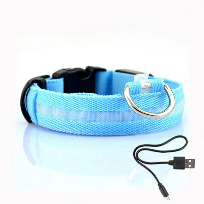 Dog Collar with LED Lighting