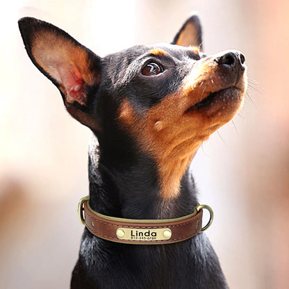 Dog Collar and Leash Set