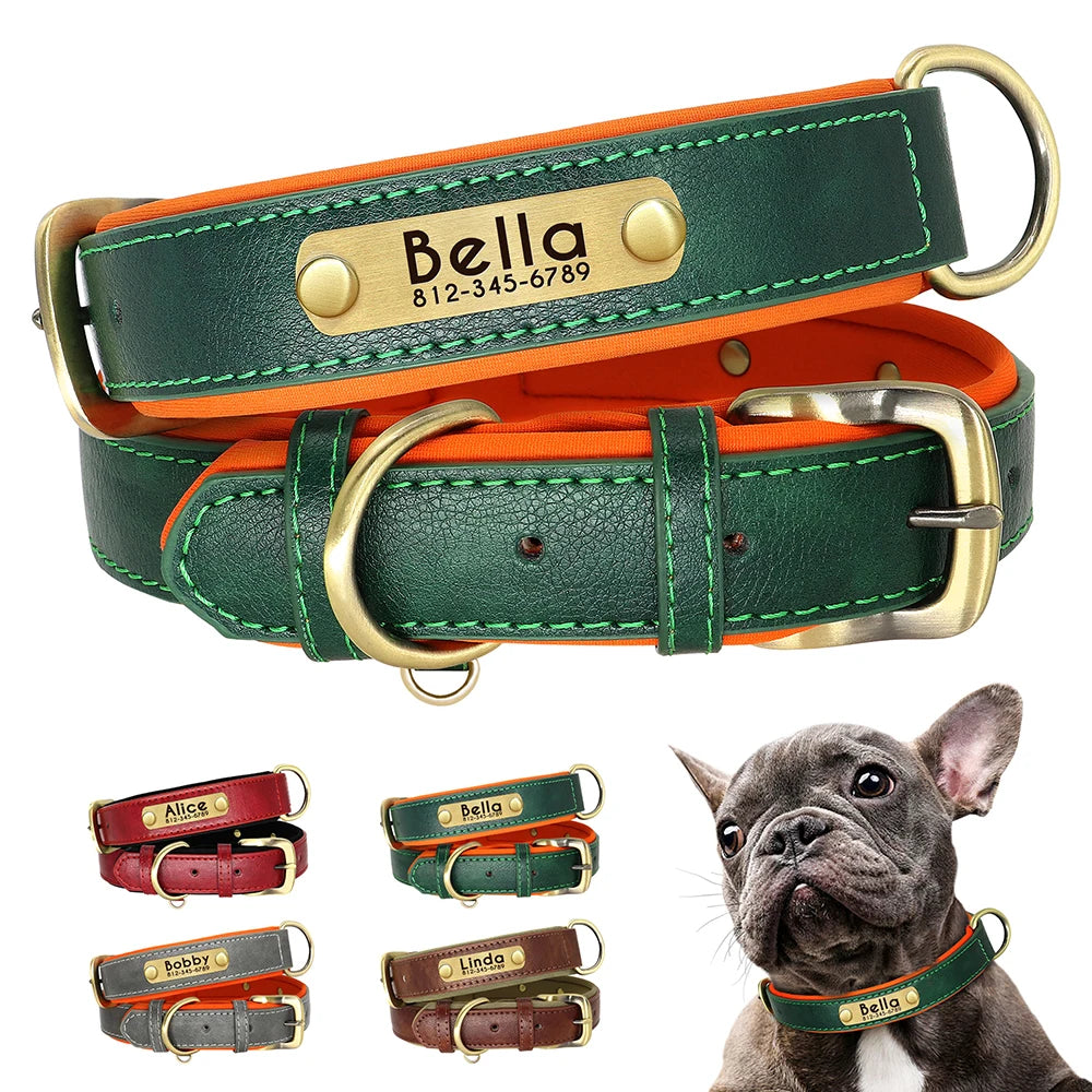 Dog Collar and Leash Set