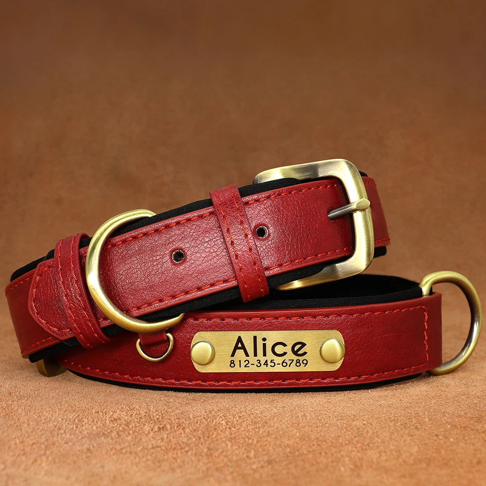 Dog Collar and Leash Set