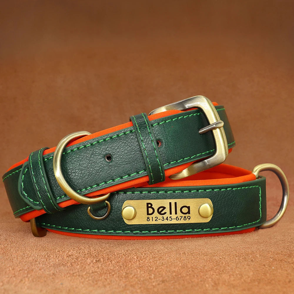 Dog Collar and Leash Set