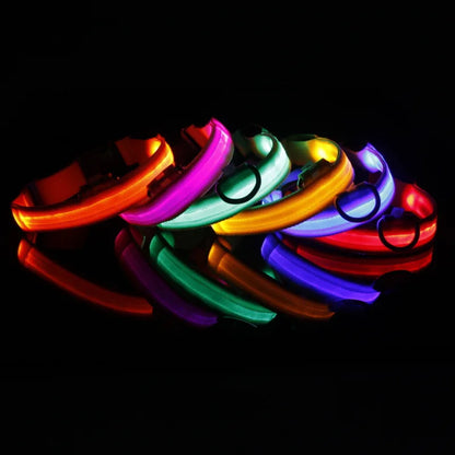 Dog Collar with LED Lighting