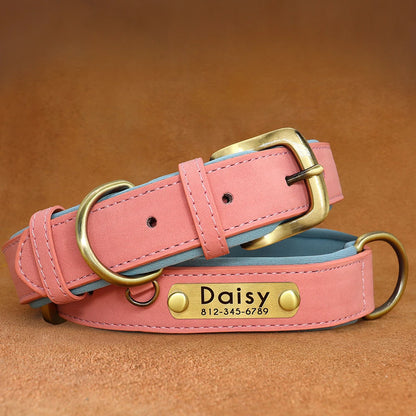 Dog Collar and Leash Set