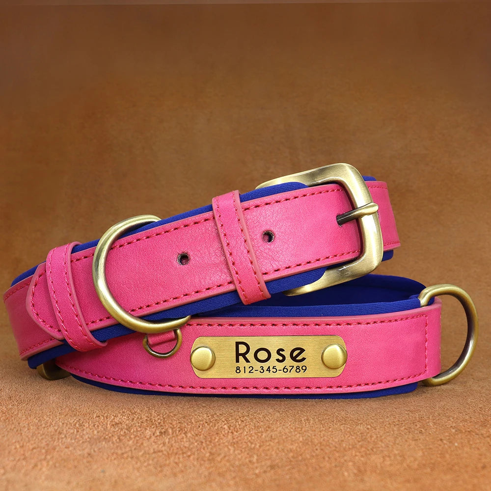 Dog Collar and Leash Set