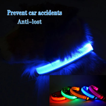 Dog Collar with LED Lighting