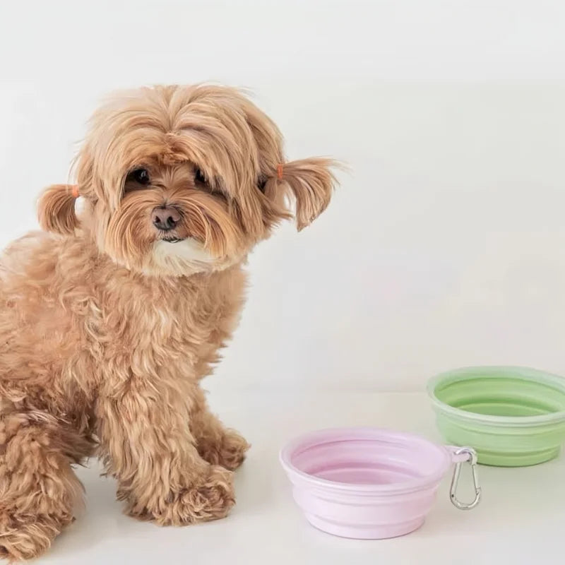 Pet Folding Silicone Bowl